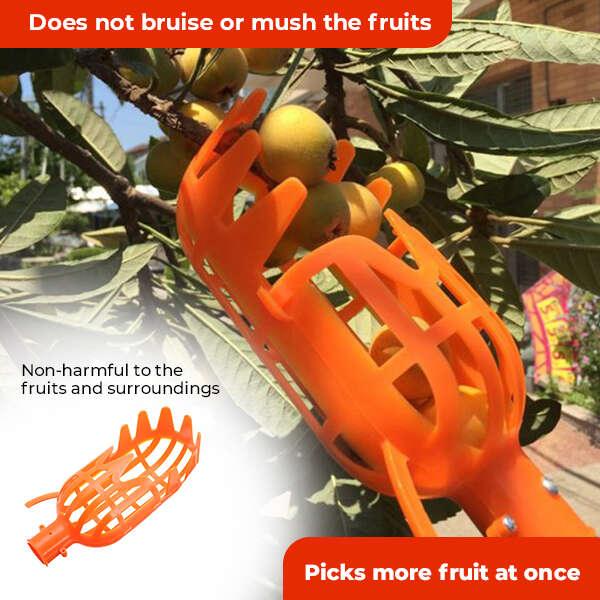 Kuster - Fruit picker tool - Dugustore