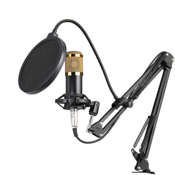 Stadroom - Professional studio microphone - Dugustore