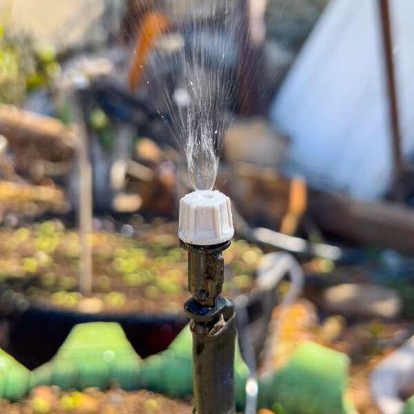 Waterly - Garden watering system - Dugustore